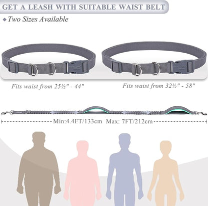 VIVAGLORY Hands Free Dog Leash Bungeetwin Running Dog Leash with Waist Belt for Running Walking & Jogging, Bungee & Around Waist for Pet, M, Grey/Turquoise