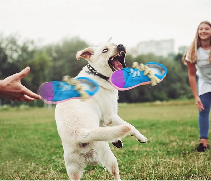 WishLotus Dog Squeaky Toys, Shoes-Shaped Dogs Chew Toys Tear-Resistant Dogs Plush Toys for Teeth Grinding & Relieve Boredom for Dog Gifts (Blue)