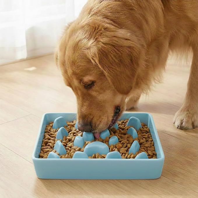 Ceramic Slow Feeder Dog Bowl, 1.8 Cup Fun Pet Food Dish for Small & Medium Breeds to Slow Down Eating, Anti-Gulping, Stop Bloat, Preventing Choking (Turquoise)