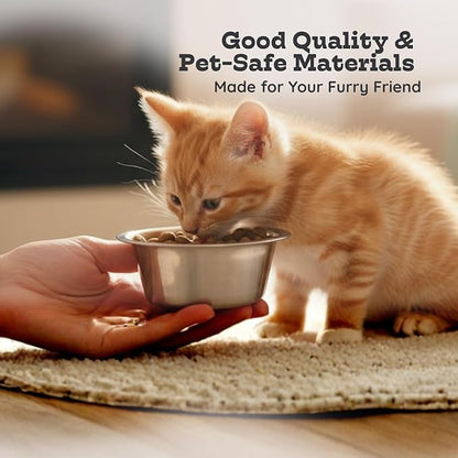 2 Pack Shallow Stainless Steel Cat & Dog Bowls, 1 Cup (8 oz) Each, Heavy Duty Small Pet Only Puppy Kitten & Birds Feeder Replacement Bowl, Rust Resistant Metal Cat Dishes for Food & Water