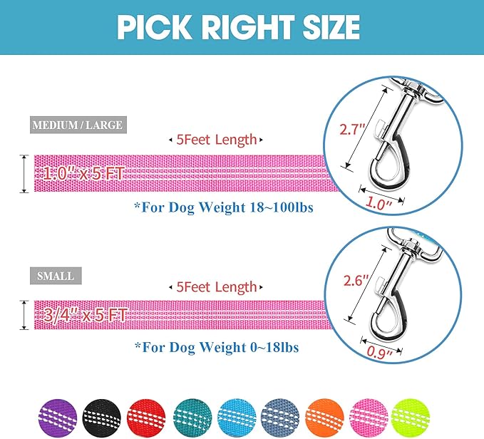 BAAPET Two Handle Dog Leash, Dual Soft Padded Handles with Traffic Control Handle Leash for Small Medium or Large Dogs (3/4'' x 5 FT, Pink)
