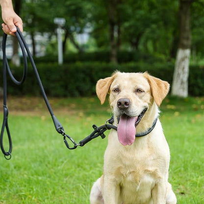 Rope Dog Leash, 4 ft Heavy Duty Dog Leash with Aviation Aluminum Auto Locking Carabiner, Strong Nylon Pet Lead for Small, Medium, Large Dogs (Blue, 4FT)