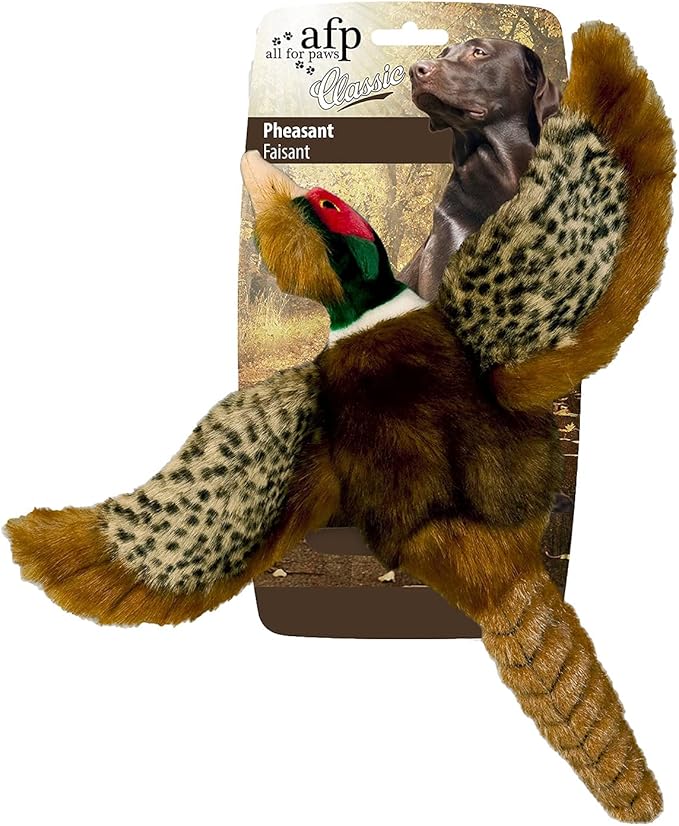 ALL FOR PAWS Squeaky Doy Toy, Pheasant Dog Toy for Small Medium Breed, Puppy Fetch Toy with Squeaker, Plush Chew Dog Toy, 9.8 x 9.8 x 2 inches, Classic-Pheasant S