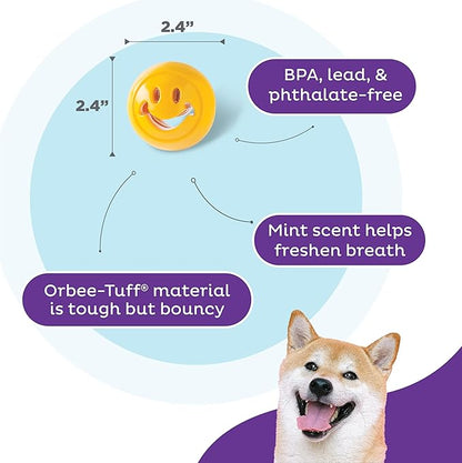 Outward Hound Nooks Happiness Interactive Durable Treat-Dispensing Dog Toy, Stuffable Puzzle Ball for Solo Play or Pair with Large Snoop, Mint-Scented, BPA-Free