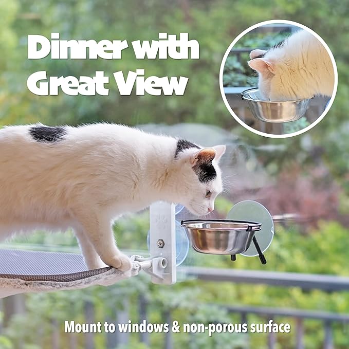 PETKARAY Window Bowls for Indoor Cats, 12 Ounces Food Bowl for Window, Dog Proof Cat Feeding Station, Foldable Stainless Bowl (Pack of 2)