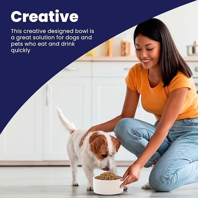 SPOT Ceramic Stoneware- Pet Bowl for Cats, Kittens and Mini Dogs, Classic Heavy Duty Non-Slip Ceramic Bowl for Food and Water -2.75in Diameter