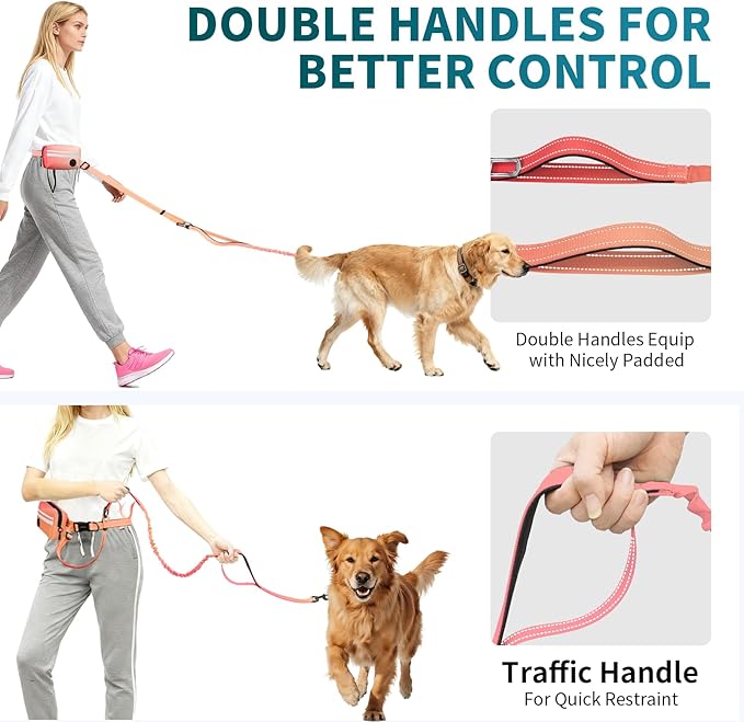 Hands Free Dog Leash with Removable Zipper Pouch, Dual Padded Handles and Durable Bungee for Walking, Jogging and Running Your Dog (Large, 35-140 lbs-Orange
