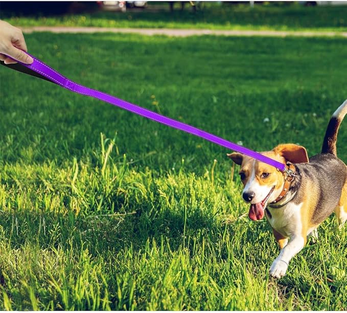 FunTags 4FT Reflective Dog Leash with Soft Padded Handle for Training,Walking Lead for Medium & Small Dogs,3/4 Inch Wide,Purple