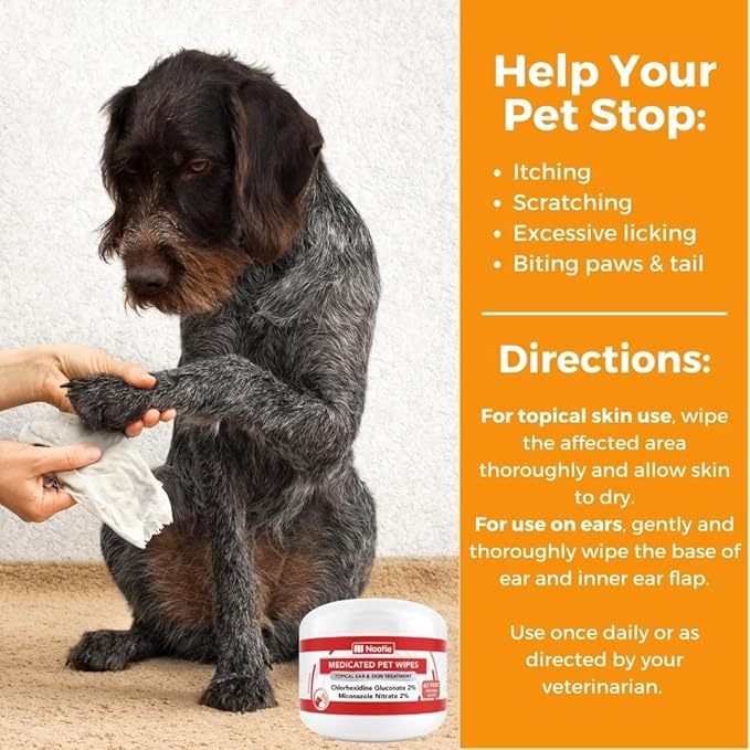 Nootie Medicated Dog Wipes, Chlorhexidine & Miconazole Pet Wipe for Dogs & Cats - 2” Small Wipes, 60 Count - Sold in Over 10,000 Vets & Pet Stores