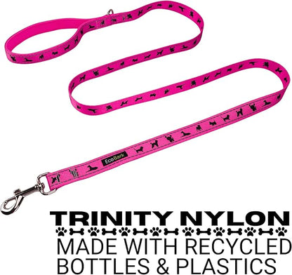 EcoBark Dog Leash - Soft & Reflective Comfort Training Leashes with Padded Handle - Safe, Strong, & Durable for Small, Medium or Large Dogs (Pink)