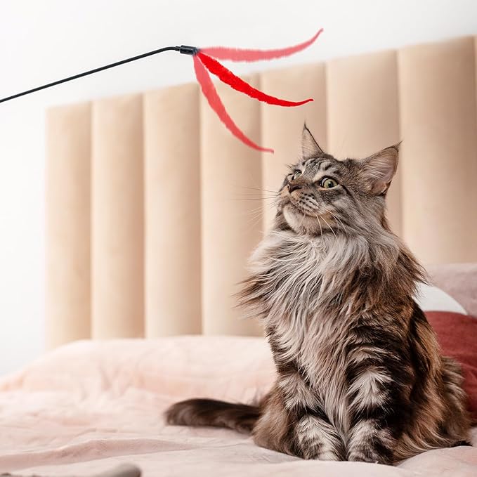 Cat Worm Toy, 10 Pcs Fuzzy Cat Wand Attachment Toys Accessories Funny Interactive Cats Feather Toy with 1 Pcs Black String for Indoor Cats Kittens Pets Toys