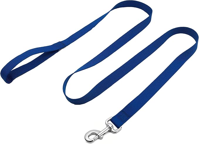Strong Nylon Dog Leash, 4FT/ 5 FT/ 6FT Dog Leashes for Medium Large Dogs (6 FT, Blue)