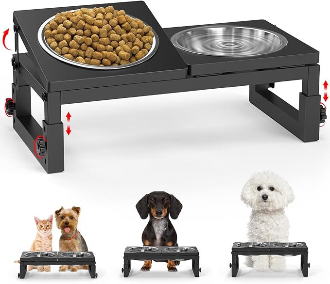 Dog Bowls Elevated Small, 3 Height(4.2" to 6") & Angle (0-20°) Adjustable Raised Dog Bowl Stand, Elevated Dogs Bowl Stand Pet, Sturdy Metal Dogs Feeding Station with 2X 20oz (2.5cup) Dishes