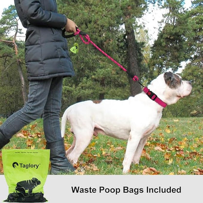 Taglory Rope Dog Leash 5 FT with Comfortable Padded Handle, Highly Reflective Threads Leash and Anti-Tangle Clip for Walking Medium Large Dogs, 1/2 inch, Hotpink