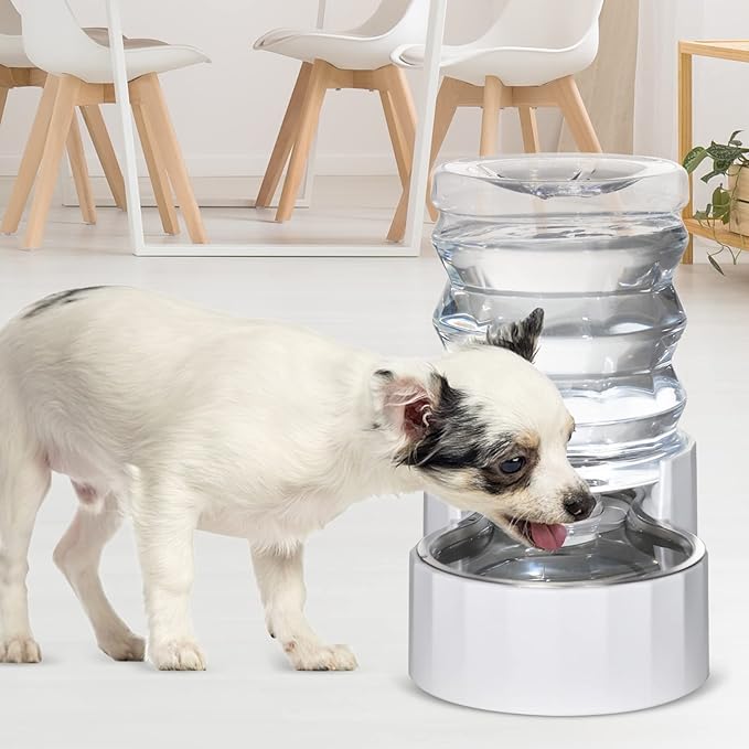 RIZZARI Dog Water Bowl Dispenser: 5L Large Stainless Steel Gravity Feeder - Remove Odor/Soften Water - Prevent Urinary Stones to Extend Lifespan - Leak-Proof - for Small to Medium-Sized Dogs and Cats
