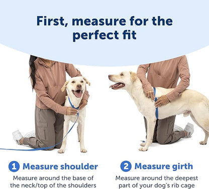 PetSafe Easy Walk Comfort No-Pull Dog Harness - Better Walk Training Harness - Full Body Padded Design - Durable Fabric - 5 Point Adjustable Fit - Everyday Leash Training - Pink - X-Small