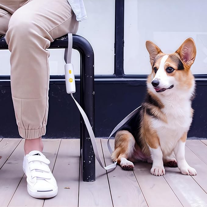 Hand Free Dog Leash Adjustable Length 4-6 ft with Reflective Stripor for Medium&Small Dogs Comfortable Handle and Sturdy Rope for Walking, Jogging and Running Your Dog (White)