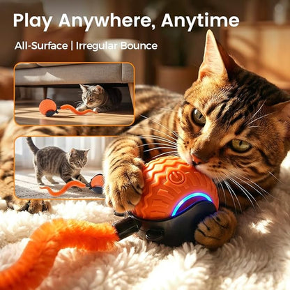 Interactive Toys for Cats, 2026 New Interactive Cat Toy Ball, Automatic Moving Cat Toy for Indoor Use, Rechargeable Feather Tail Cat Toy with Stimulation for Small Medium Large Cats (2 * Orange)