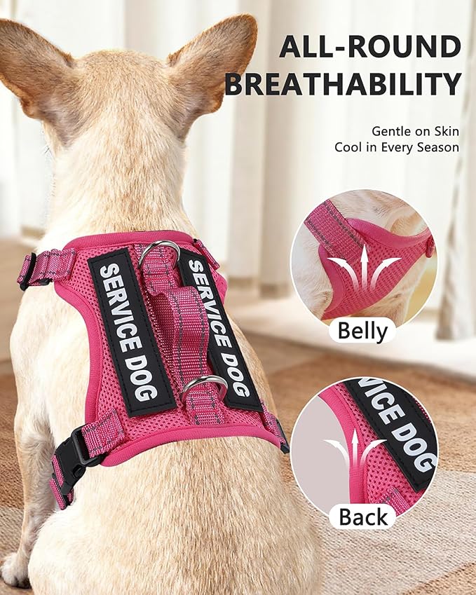 Service Dog Vest for Small Breed Dogs with ID Tag – Lightweight Puppy Harness and Leash Set with 6 PCS Patches, Ideal Service Animal Vest for Training, Complete Service Dog Gear, Hot Pink, S