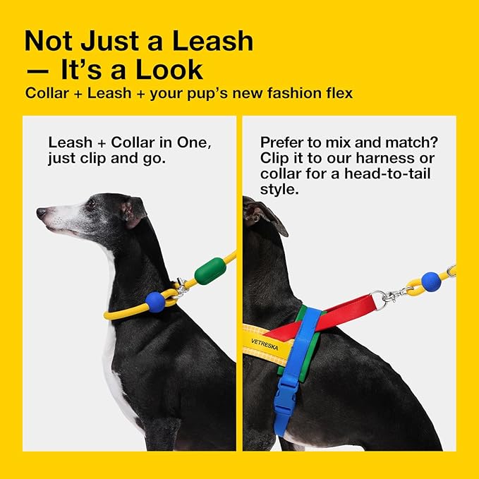 VETRESKA Hands-Free Dog Leash, 8FT Adjustable Rope Leash for Medium Large Dogs, Waist/Crossbody Slip Lead Leashes for Walking, No Pull Dog Leashes with Bag Dispenser, 2 in 1 Walk Kit (Chroma)