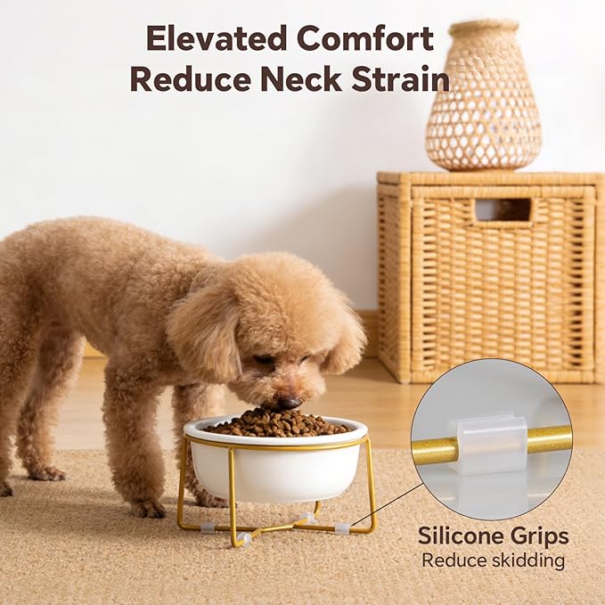 Elevated Ceramic Dog Bowl with Metal Stand - Raised Feeding Dish for Small Dogs and Cats - Ideal for Food or Water - Each Holds 400ml / 2 Cups (Approx. 200g) - White