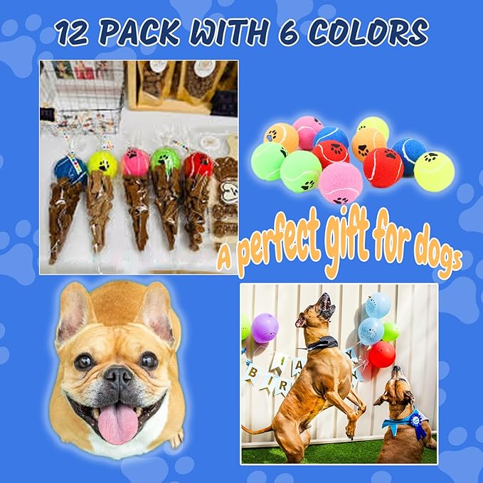 Bulk Tennis Balls for Dogs Pack of 12 Easy Catching Dog Fetch Balls (Non Squeaky-Multicolor)
