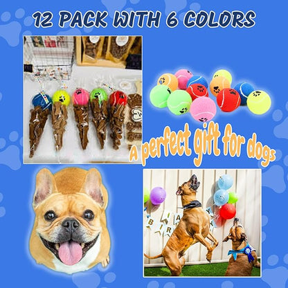 Bulk Tennis Balls for Dogs Pack of 12 Easy Catching Dog Fetch Balls (Non Squeaky-Multicolor)