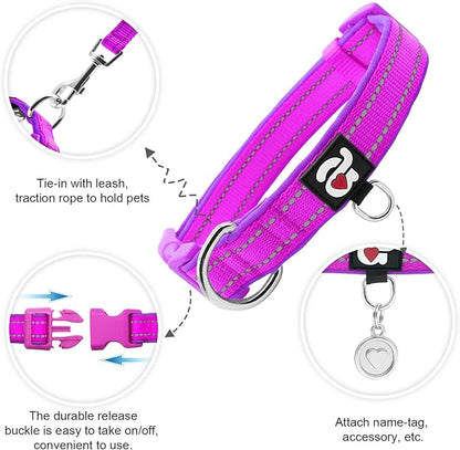azuza Reflective Dog Collar with Airtag Holder, Soft Neoprene Padded Pet Collar with ID Tag Ring, Adjustable for Large Dogs,Purple,L