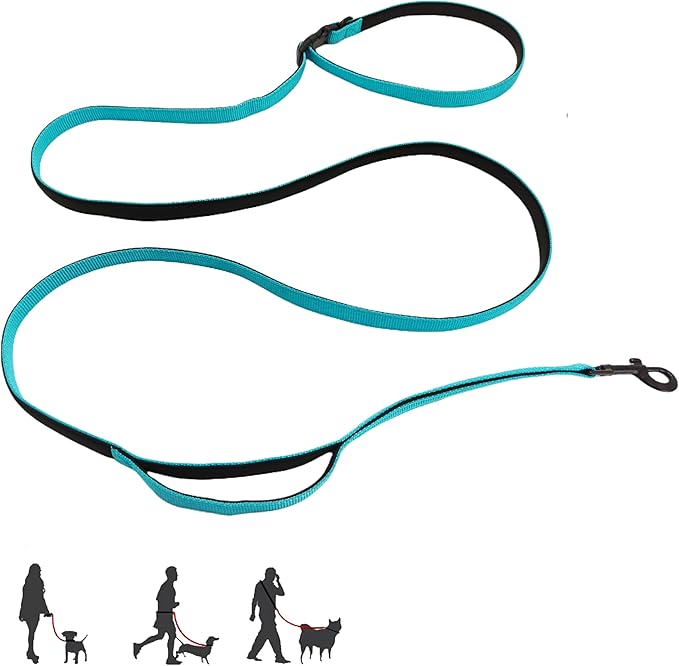 Multifunctional Dog Leash with Extra Handle -4 in 1 Hands-Free Adjustable Dog Leash for Jogging, Walking, Running - Fits Small and Medium-Sized Dogs (Blue, M)
