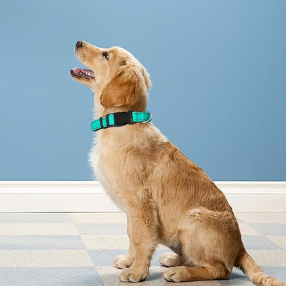 Reflective Dog Collar, Adjustable Soft Neoprene Padded Nylon Pet Collars with Buckle for Small Dogs, Teal,S