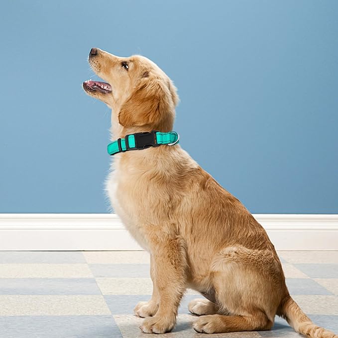 Reflective Dog Collar, Adjustable Soft Neoprene Padded Nylon Pet Collars with Buckle for Extra Large Dogs, Teal,XL