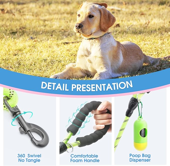 BAAPET 2/4/5/6 FT Dog Leash with Comfortable Padded Handle and Highly Reflective Threads for Small Medium and Large Dogs (6FT-1/2'', Green)