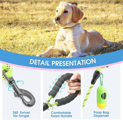 BAAPET 2/4/5/6 FT Dog Leash with Comfortable Padded Handle and Highly Reflective Threads for Small Medium and Large Dogs (6FT-1/2'', Green)
