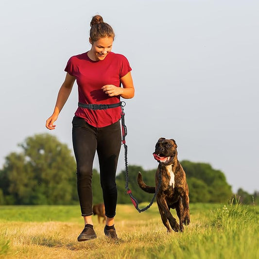 Mile High Life Hands Free Waist Leash for Dog Running Training and Jogging, Adjustable Belt with Double Handle, Reflective Bungee for Medium Large Dogs (Red, 7FT)