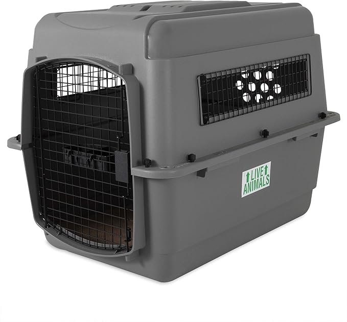 Petmate Sky Kennel Pet Carrier (32 Inch) and Petmate 290300 Kennel Travel Kit