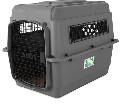 Petmate Sky Kennel Pet Carrier (32 Inch) and Petmate 290300 Kennel Travel Kit