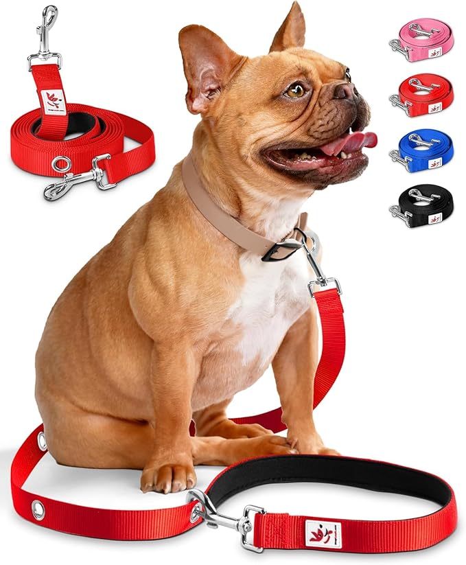 Hands-Free Dog Leash Training Running Snapleash, Waist & Shoulder Lead for Walking, Traffic Lead, Dual Pet Leash Adjustable for Large, Medium and Small Dog Breeds (RED, Small (5/8in x 7.5ft))