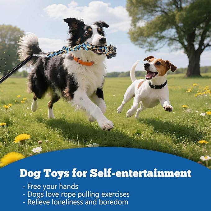 Outdoor Tug of War Dog Toy,Interactive Dog Toys with 2 Rope in Yard Park for Large Medium Small Dogs