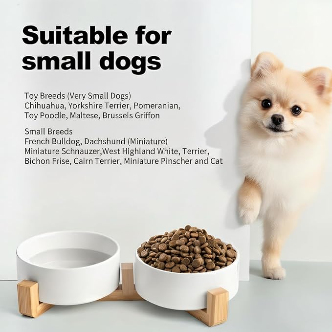 Kimdio Ceramic Dog Bowls with Wood Stand, 13.5OZ Pet Bowls Set of 2 for Medium Small Dogs and Cats - Non-Slip Base Cute Pet Food & Water Basic Bowls Glaze Matte-White