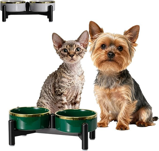 Elevated Ceramic Dog Bowl Set - Double Dishes with Stainless Steel Stand – Raised Feeding Bowls for Cats and Small Dogs - Food & Water Set - 5" / 1.6 Cups (160 g / 300 ml) - Green