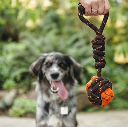 P.L.A.Y. Cute Outdoor Dog Toys - Scout & About Tug Ball Rope Toy, Great for Puppies & Small, Medium, Large Dogs - Machine Washable, Ultra-Durable, Good for Agility Training, Tugging, Fetch (Large)