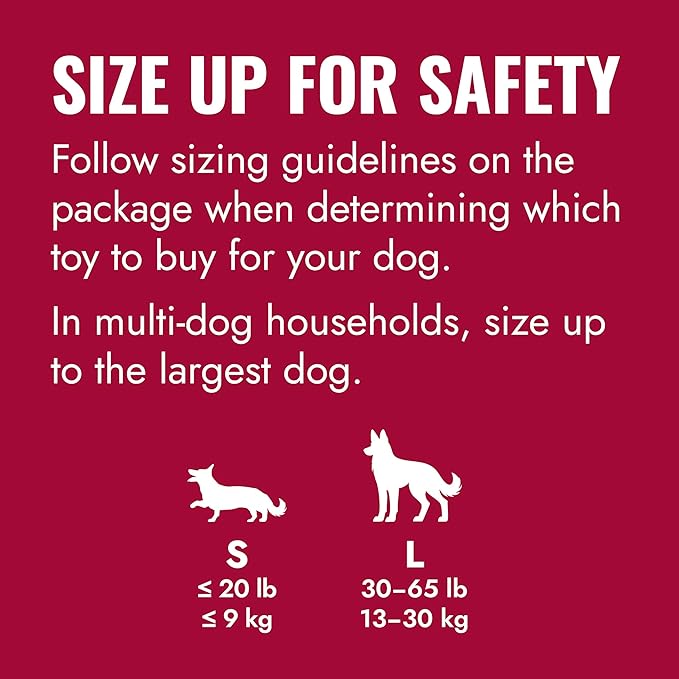 KONG Flyer - Durable Dog Toy for Outdoor Playtime - Natural Rubber Flying Disc, Dog Toy for Fetch - Safer Disc for Healthy Activity - for Medium/Large Dogs