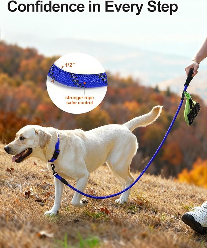 Joytale Dog Leash for Large Dogs, Heavy Duty Nylon Leashes with Comfortable Padded Handle and Highly Reflective Threads, Ideal for Walking and Training, NavyBlue, 5'×1/2''
