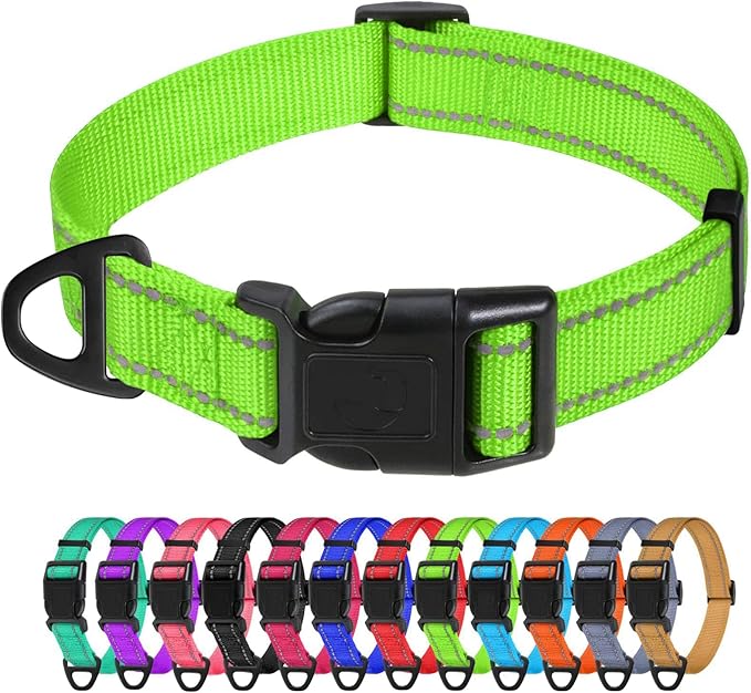TagME Reflective Nylon Dog Collars, Adjustable Classic Pet Collar with Quick Release Buckle for Small Dogs, Green, 3/4" Width
