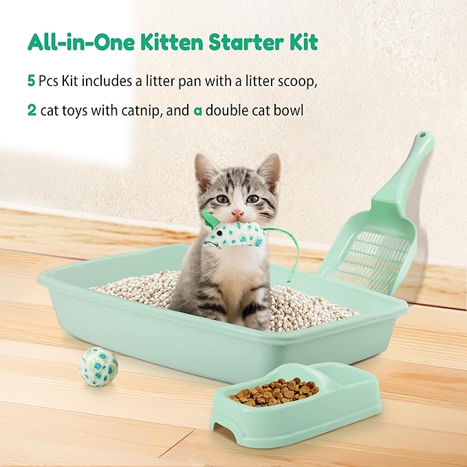 PAWISE Cat Litter Box Set, Small Kitten Starter Kit, Includes Litter Box, Litter Scoop, Double Dish Feeding Bowl, Cat Mouse Toy, Kitty Ball Toy, Green