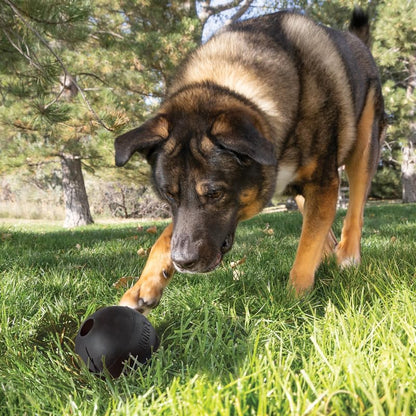 KONG Extreme Ball with Hole, Fetch Toy, Black, for Large/X-Large Dogs - Image 2