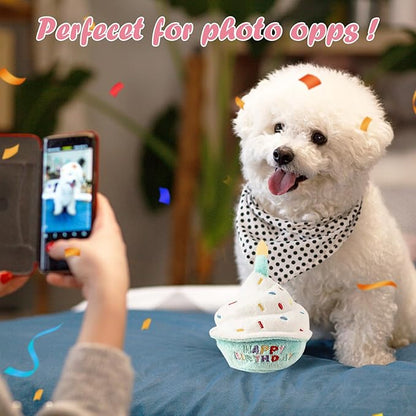 Dog Birthday Toys - Puppy Squeaky Cupcake, Toy Dog - First Birthday Toy Small Medium Large Breeds(Blue)