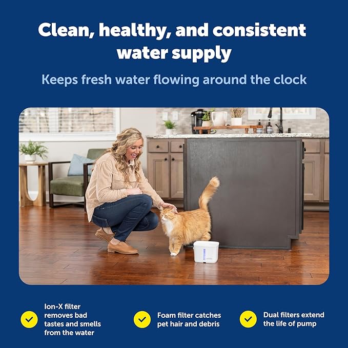 PetSafe Viva Pet Fountain - Encourages Healthy Hydration - Automatic Water Dispenser with Double Filtration - Ultra Quiet Water Fountain - Easy to Assemble & Clean - Stainless Steel - 64 oz