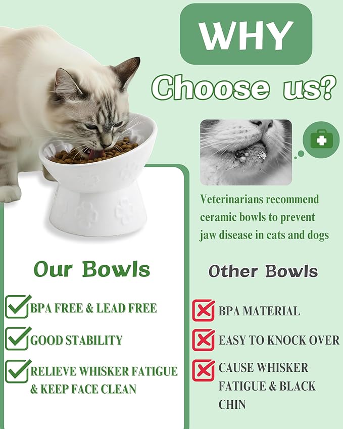 TRUVIC Ceramic Slow Feeder Cat Bowl, 15° Tilted Elevated Cat Slow Eating Bowl for Neck Protection, Anti Vomiting Dog Slow Feeder, Whisker Friendly & No Black Chin for Cats and Small Dogs, White