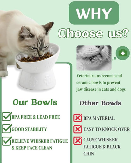 TRUVIC Ceramic Slow Feeder Cat Bowl, 15° Tilted Elevated Cat Slow Eating Bowl for Neck Protection, Anti Vomiting Dog Slow Feeder, Whisker Friendly & No Black Chin for Cats and Small Dogs, White